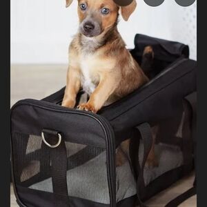 AMAZON BASICS Pet Carrier, Small